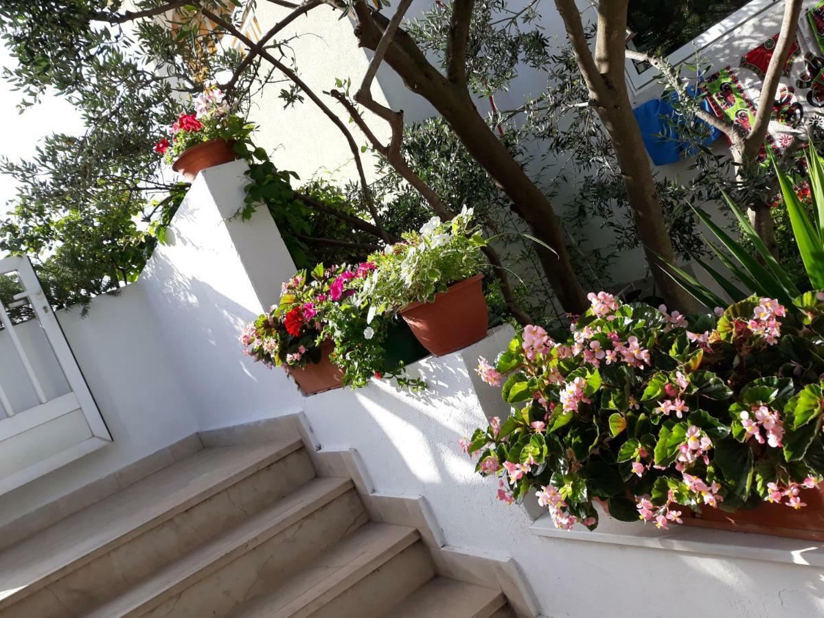 B&B Buzolic Hvar Town Dış mekan fotoğraf